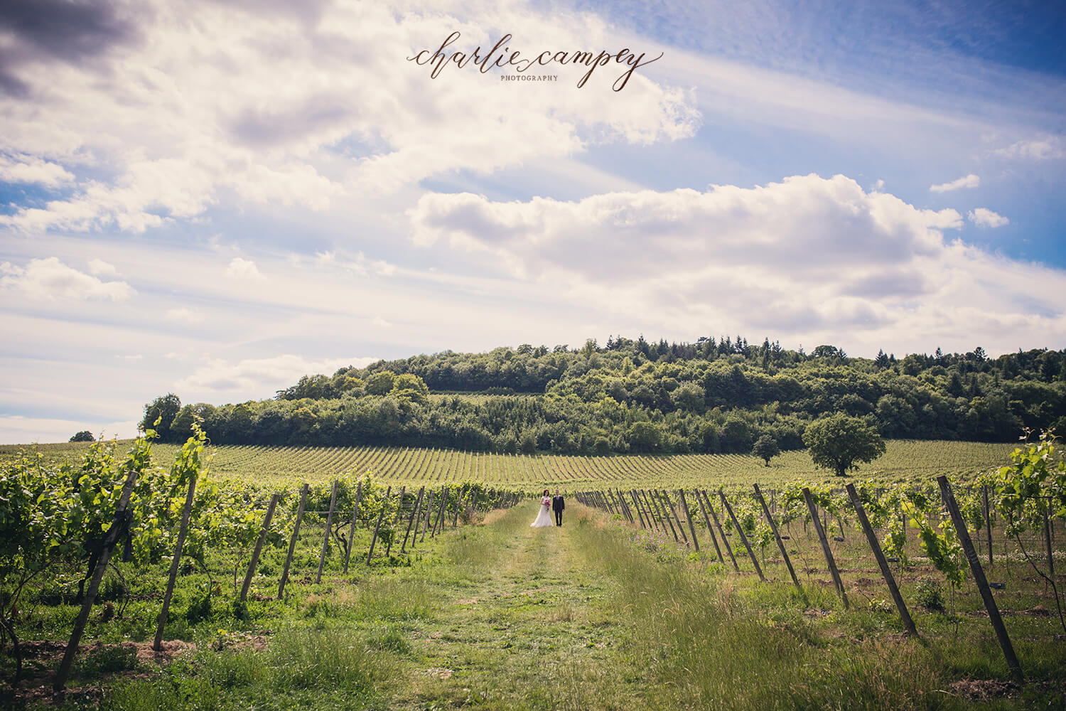 Denbies Wine Estate, Surrey Wedding